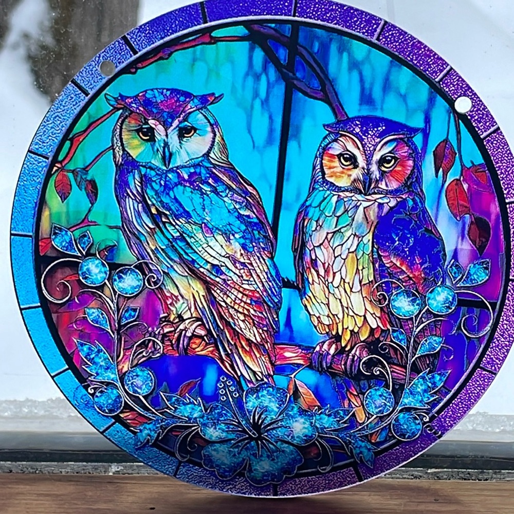 Suncatcher Colourful Acrylic Owl Birds Decorative Home Cottage Decor New